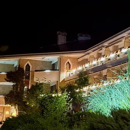 Oleo Hotel *