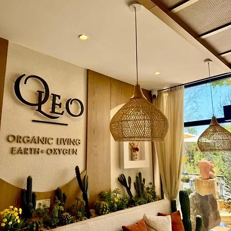 Oleo Hotel *